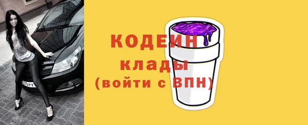 гидра Кодинск