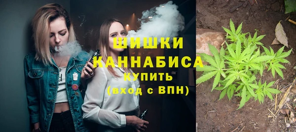 ПСИЛОЦИБИНОВЫЕ ГРИБЫ Нязепетровск