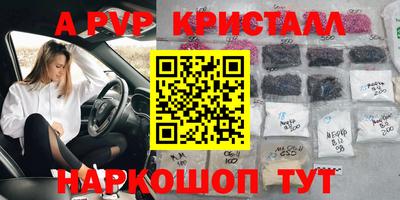 стаф Берёзовский