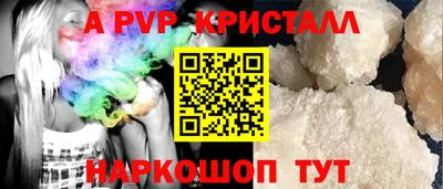 стаф Берёзовский