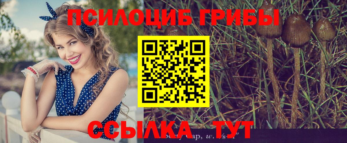 Торжок  Псилоцибиновые грибы Magic Shrooms  Галлюциногенные грибы Cubensis  Вход с VPN 